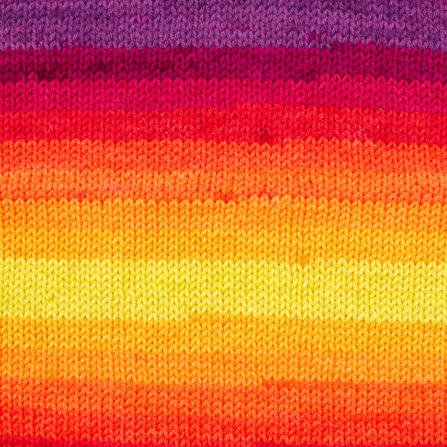 Sweet Roll® Vivid - Image 9