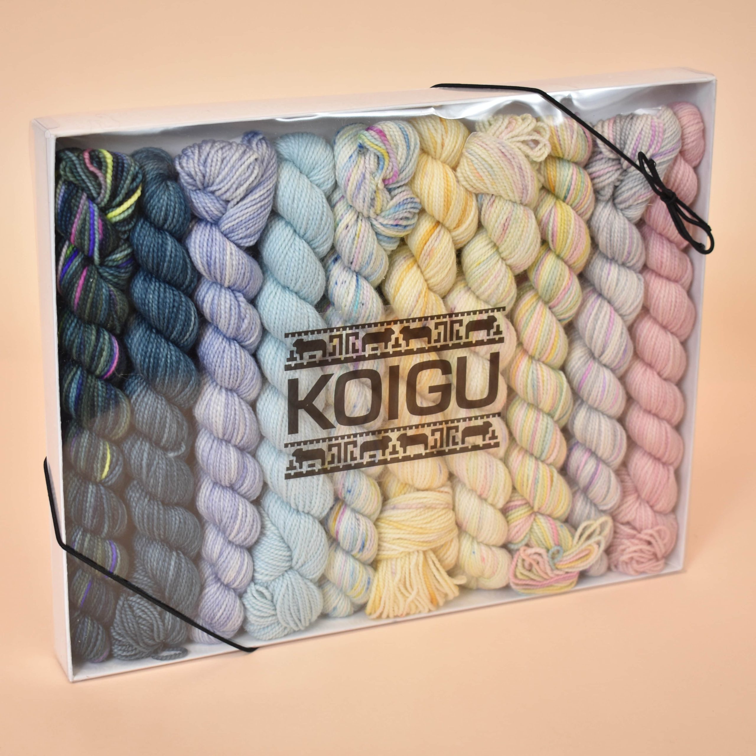 Koigu Pencil Box - Image 2